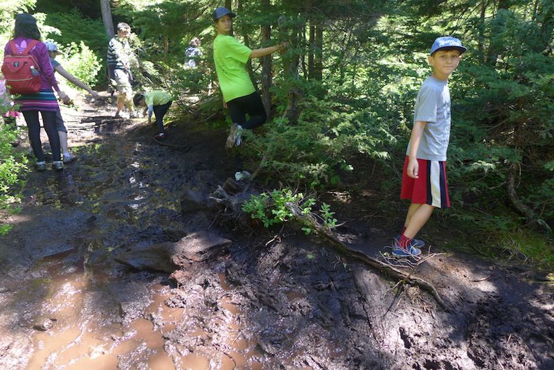 The Dog Mountain Trail. June 2016